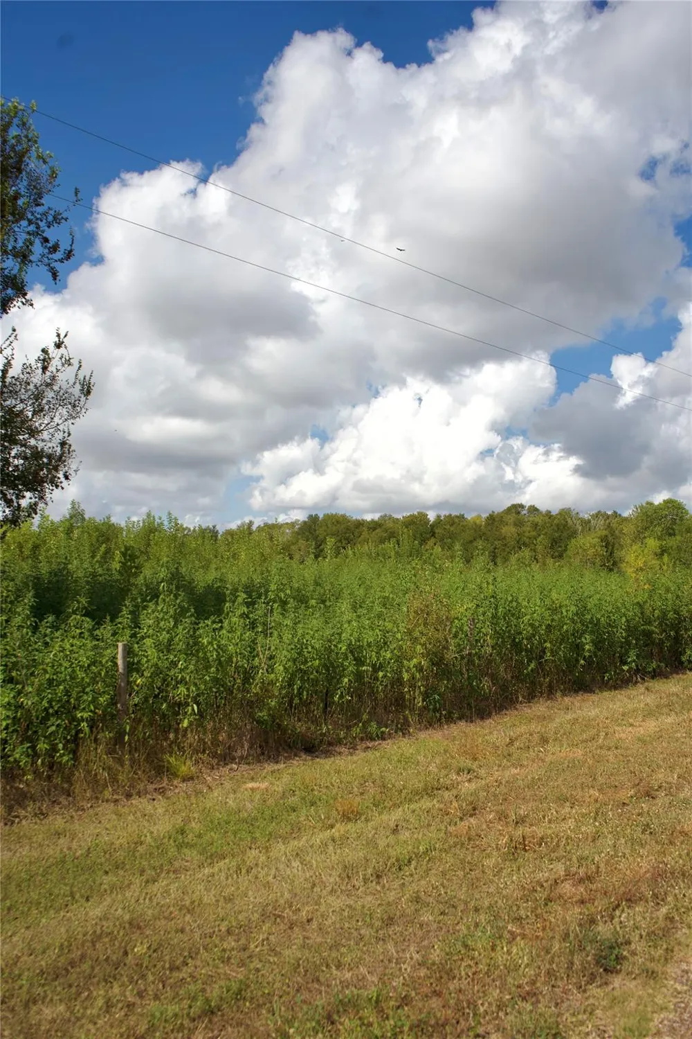 Cr 220 Wharton, TX 77488