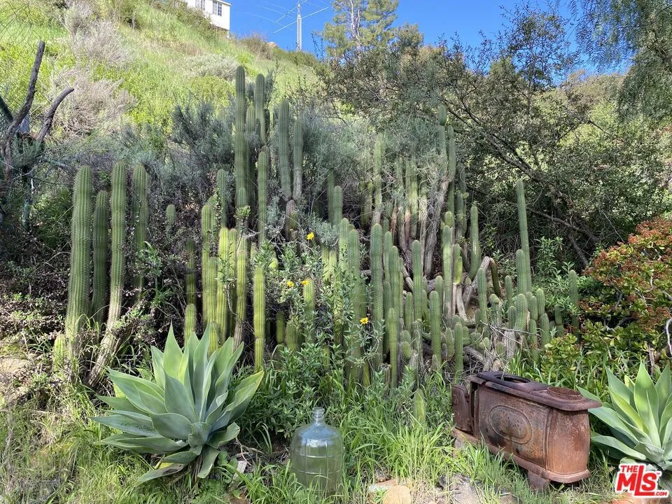 2442 Old Topanga Canyon Road Topanga, CA 90290