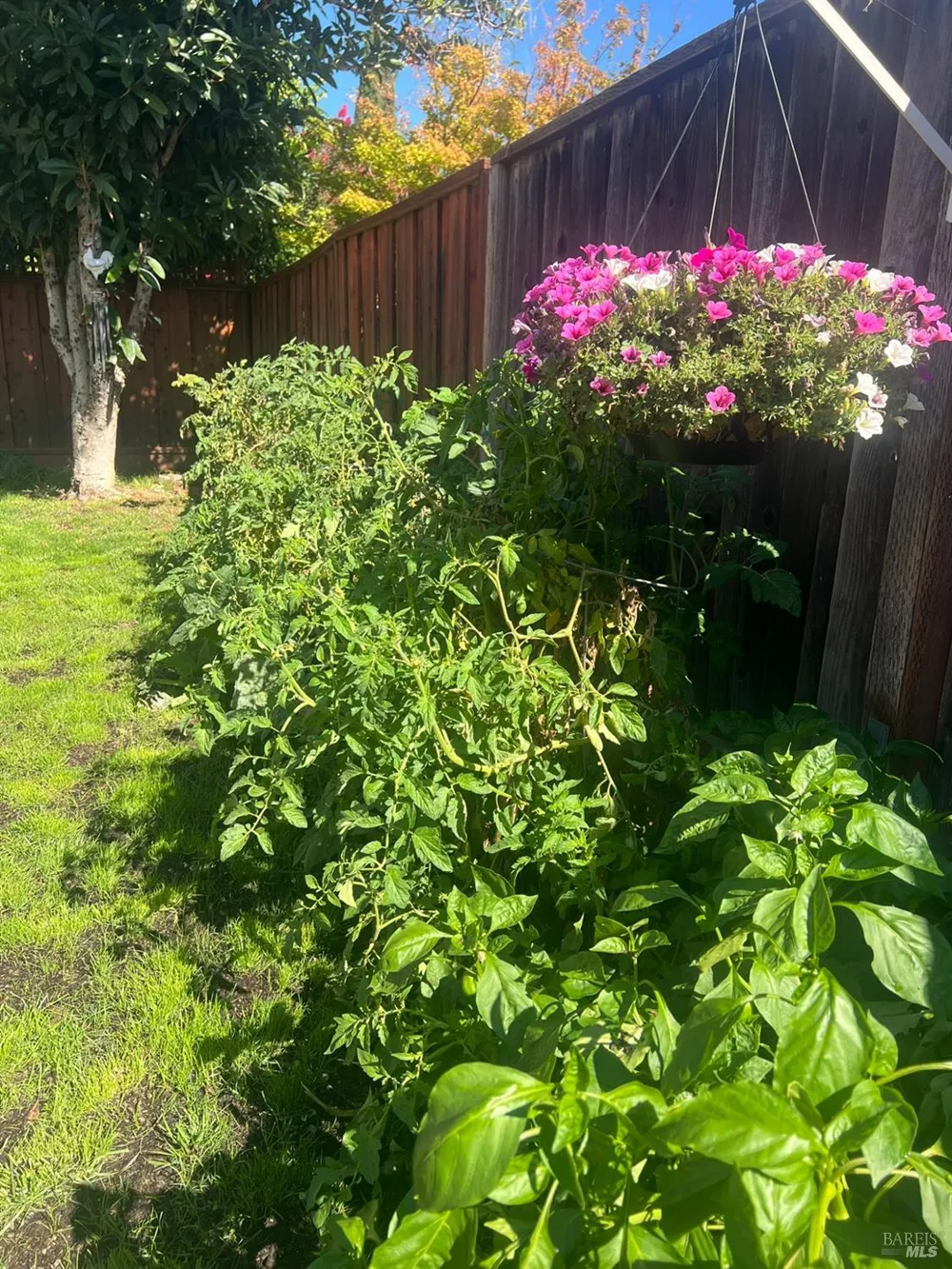 4450 Dumas Street Napa, CA 94558