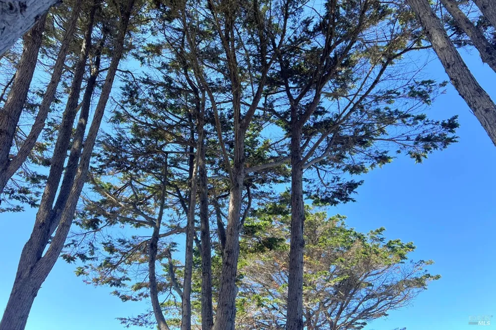 18725 Highway 1 Highway Fort Bragg, CA 95437