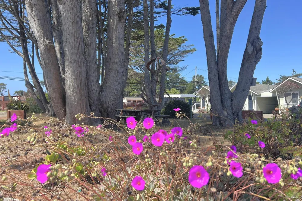18725 Highway 1 Highway Fort Bragg, CA 95437