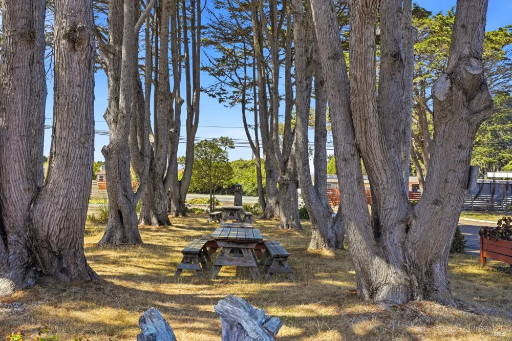 18725 Highway 1 Highway Fort Bragg, CA 95437