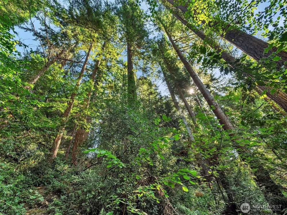 7414 Soundview Drive Edmonds, WA 98026