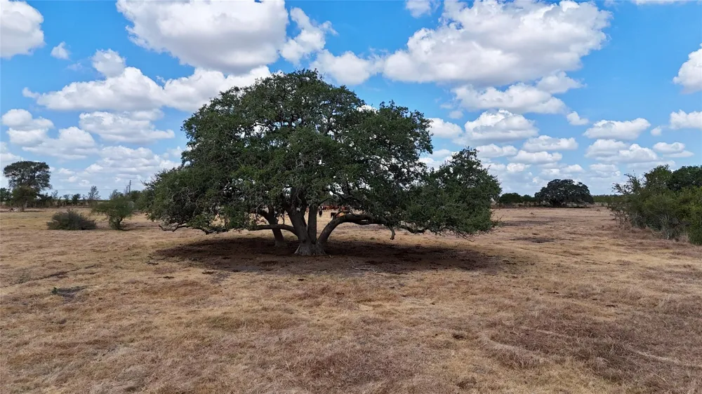 3 County Road 366 Shiner, TX 77984