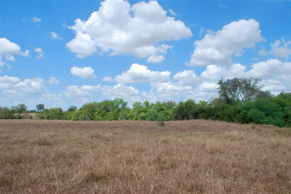 3 County Road 366 Shiner, TX 77984