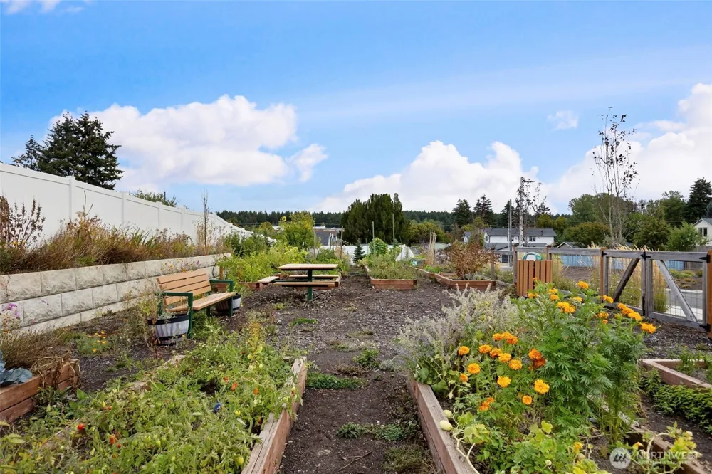 1221 E 53rd Street Tacoma, WA 98404