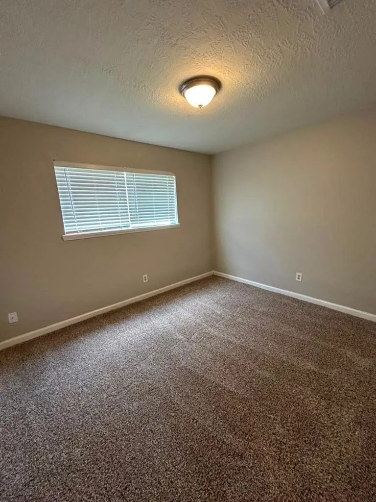 13223 Lake Breeze Lane Willis, TX 77318