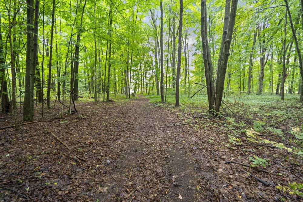 5275 Pierce Road Paradise Township, MI 49649