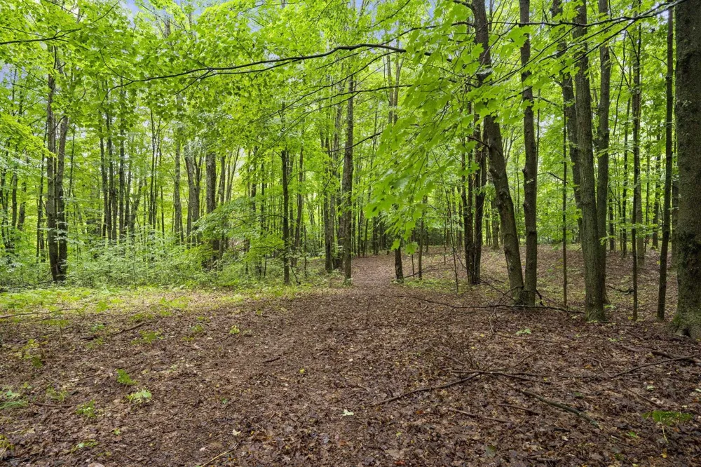 5275 Pierce Road Paradise Township, MI 49649