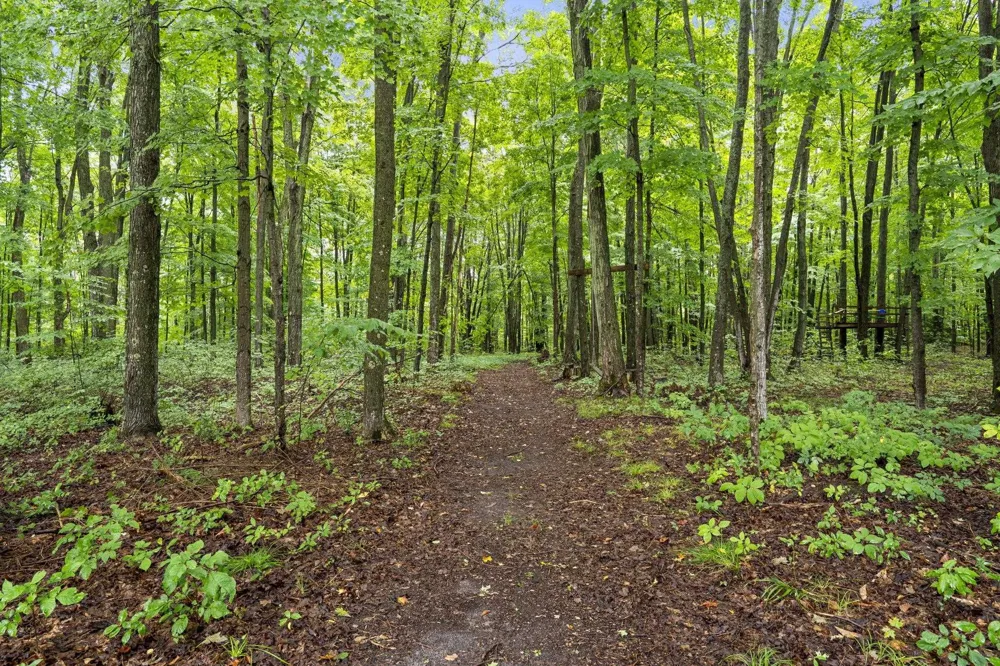 5275 Pierce Road Paradise Township, MI 49649