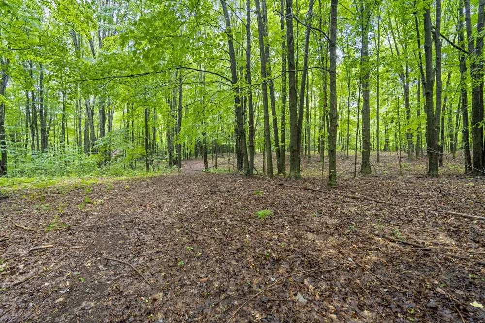 5275 Pierce Road Paradise Township, MI 49649