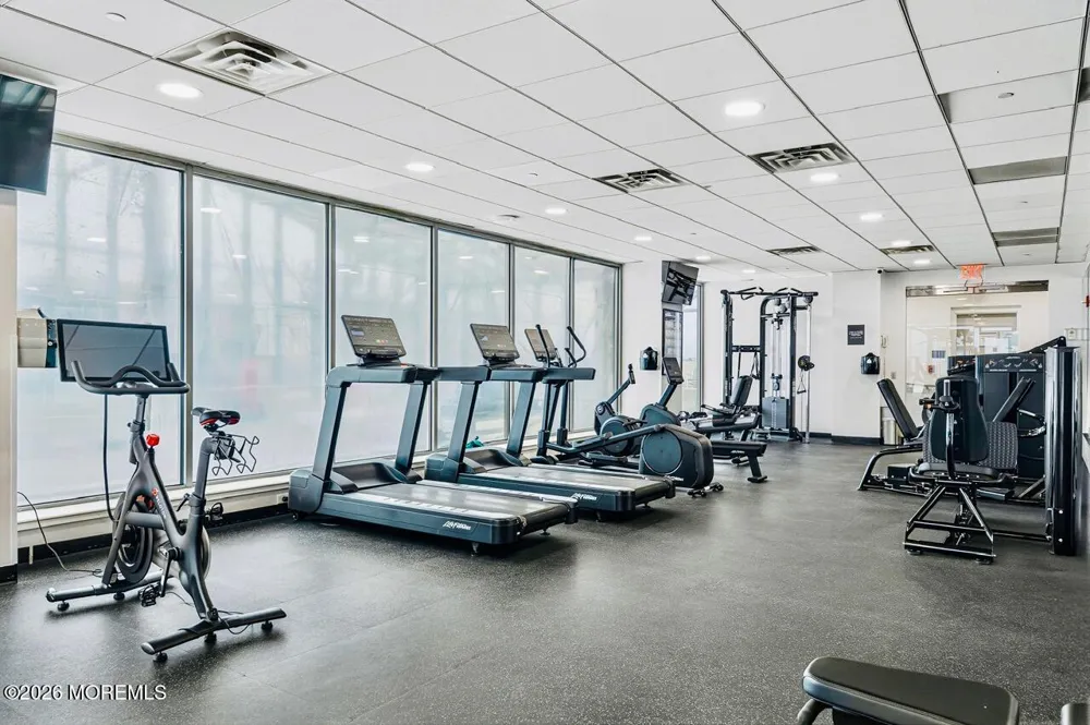 1 Spring Street #2204 New Brunswick, NJ 08901