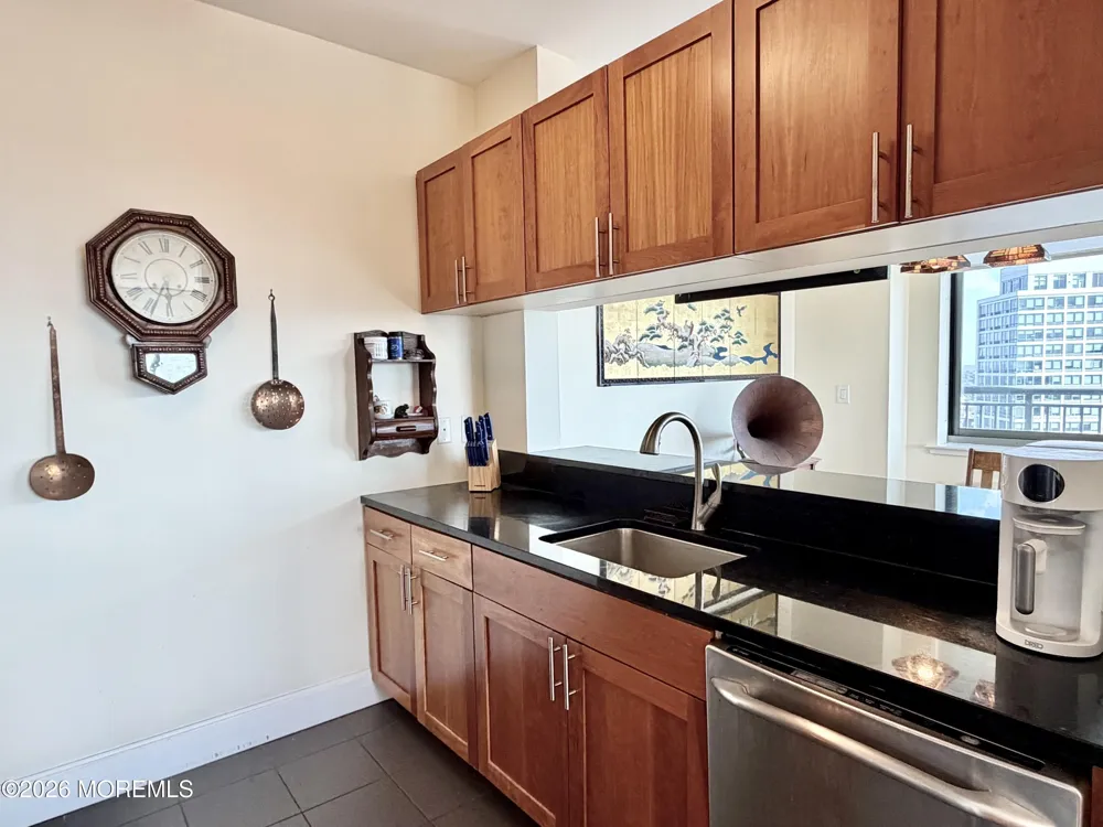 1 Spring Street #2204 New Brunswick, NJ 08901