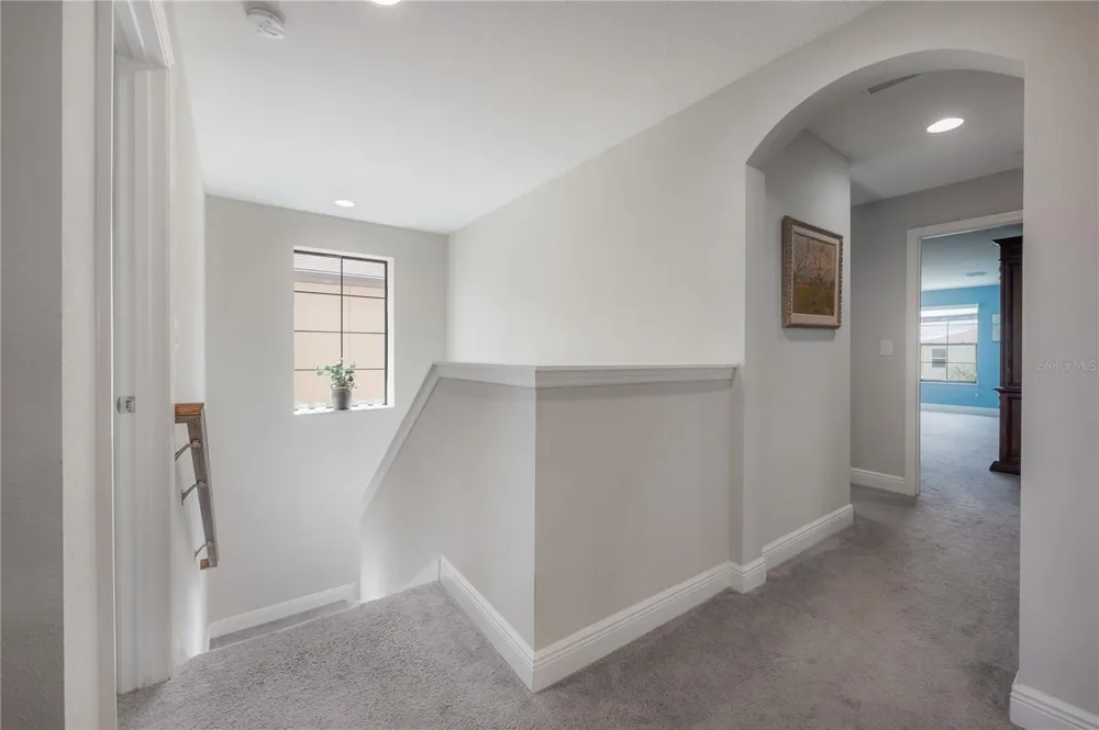 14627 RED CASTLE AVENUE Lithia, FL 33547