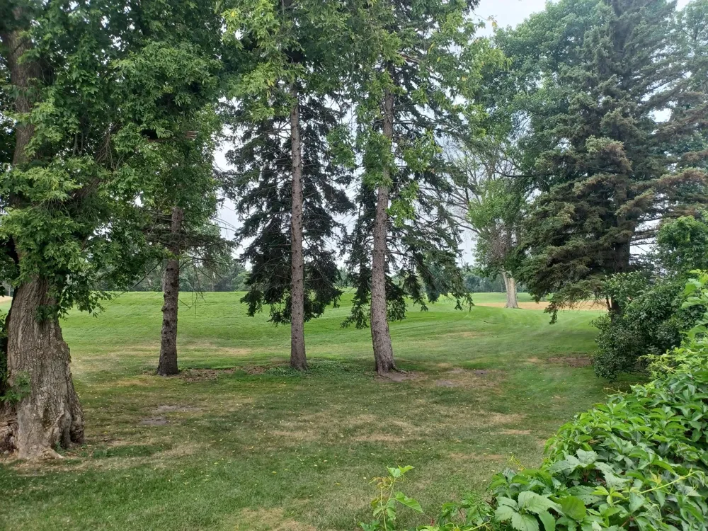 8101 Westwood Hills Drive Saint Louis Park, MN 55426