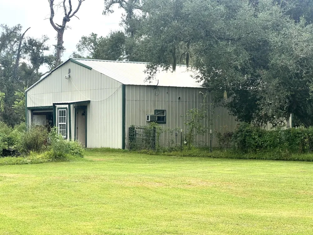 20218 Oak Forest Road Damon, TX 77430