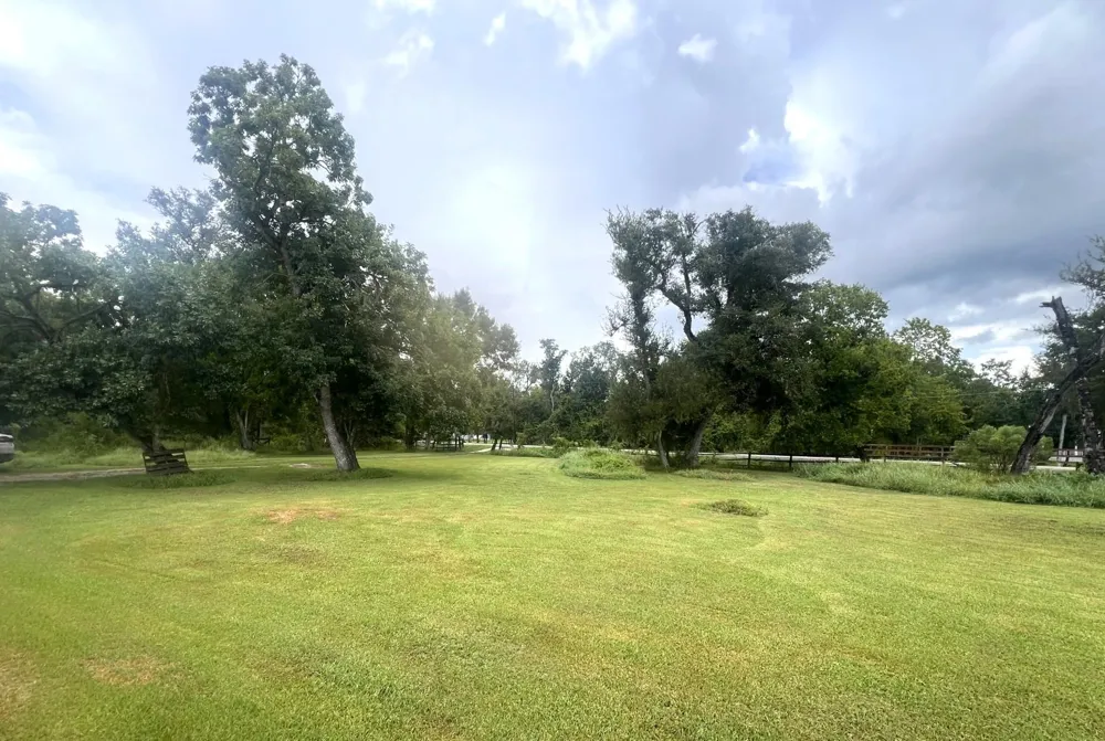 20218 Oak Forest Road Damon, TX 77430