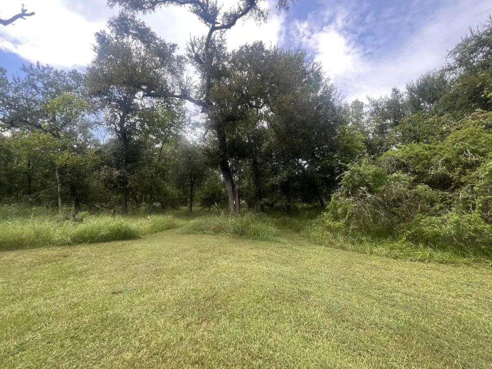 20218 Oak Forest Road Damon, TX 77430