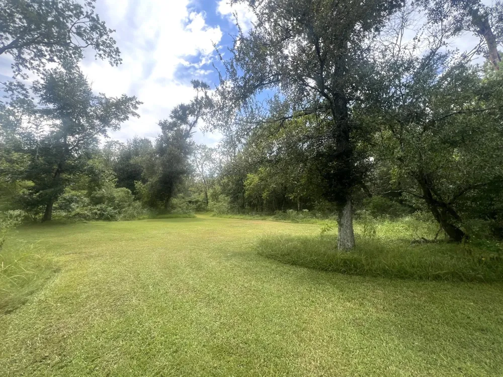 20218 Oak Forest Road Damon, TX 77430