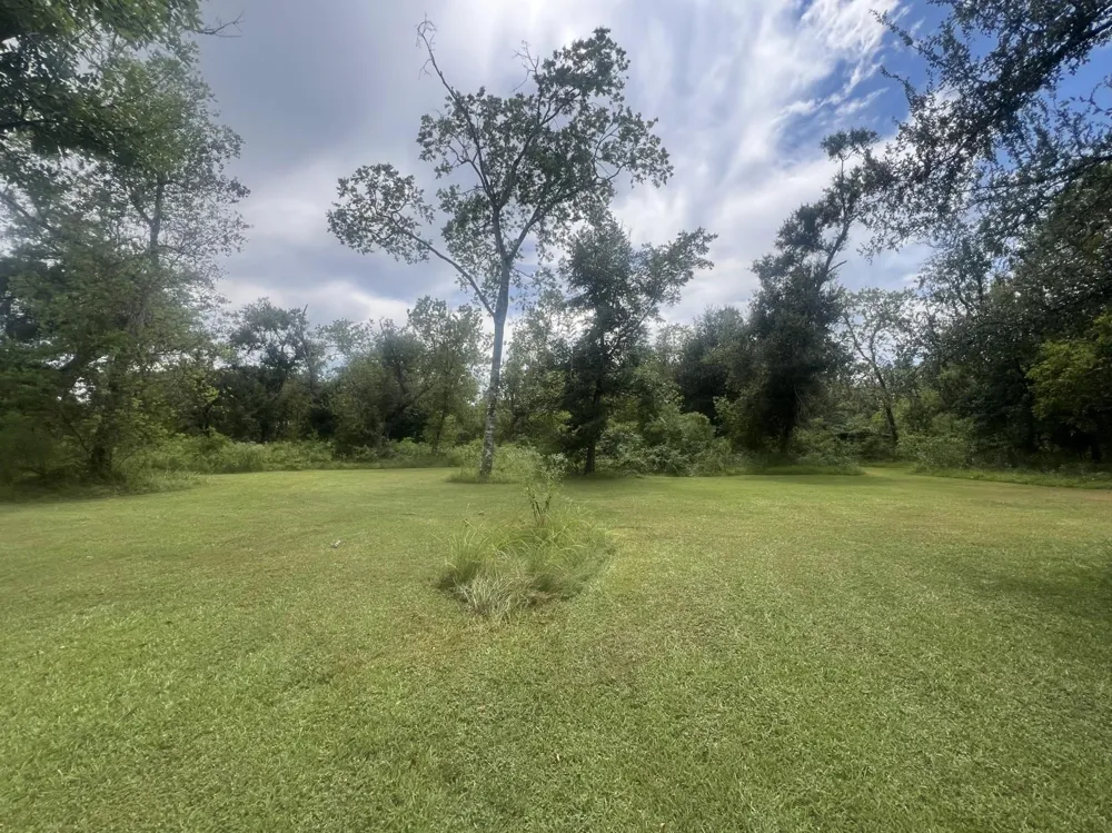 20218 Oak Forest Road Damon, TX 77430