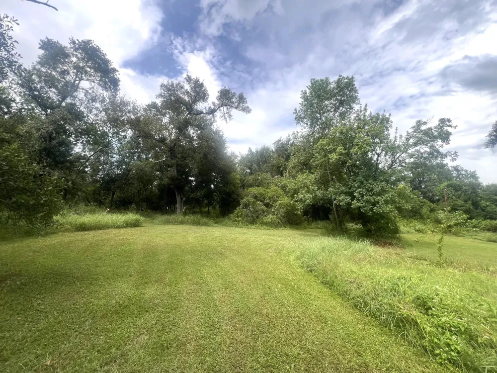 20218 Oak Forest Road Damon, TX 77430