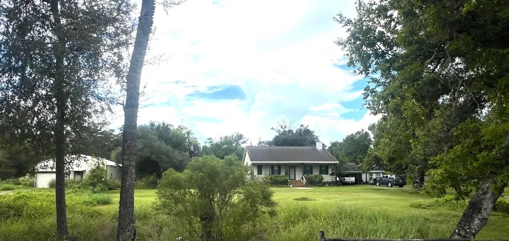 20218 Oak Forest Road Damon, TX 77430