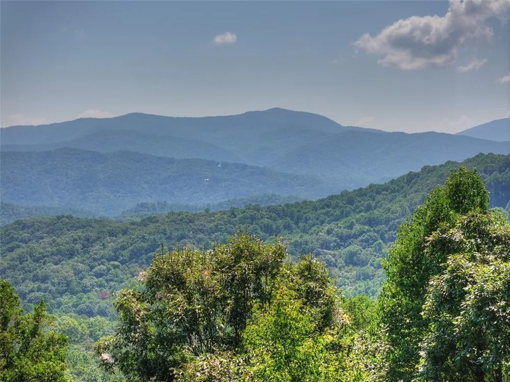 783 Moreland Drive Cherry Log, GA 30522