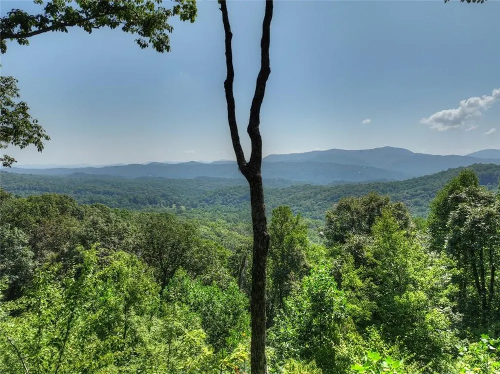 783 Moreland Drive Cherry Log, GA 30522