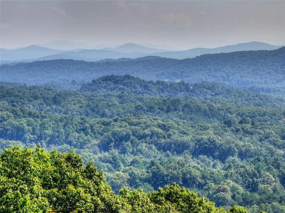 783 Moreland Drive Cherry Log, GA 30522