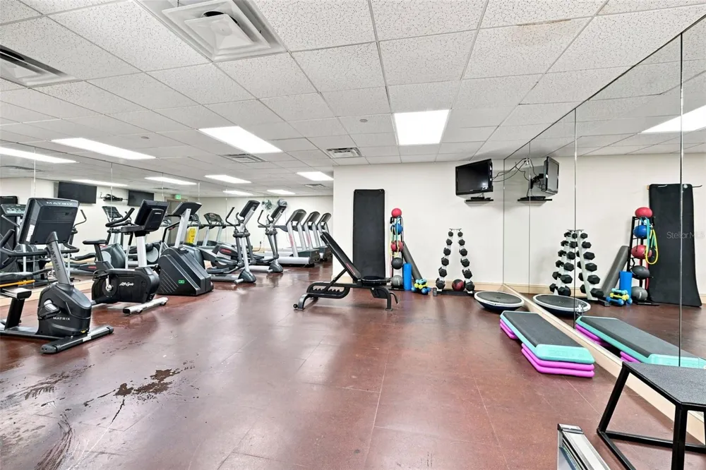 345 BAYSHORE BOULEVARD #1006 Tampa, FL 33606