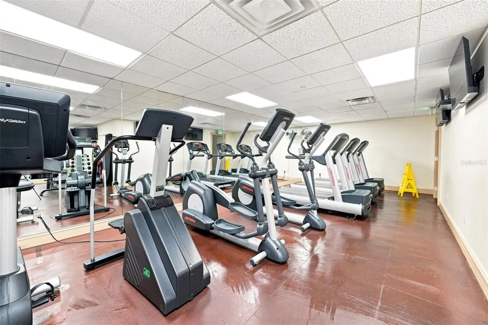 345 BAYSHORE BOULEVARD #1006 Tampa, FL 33606