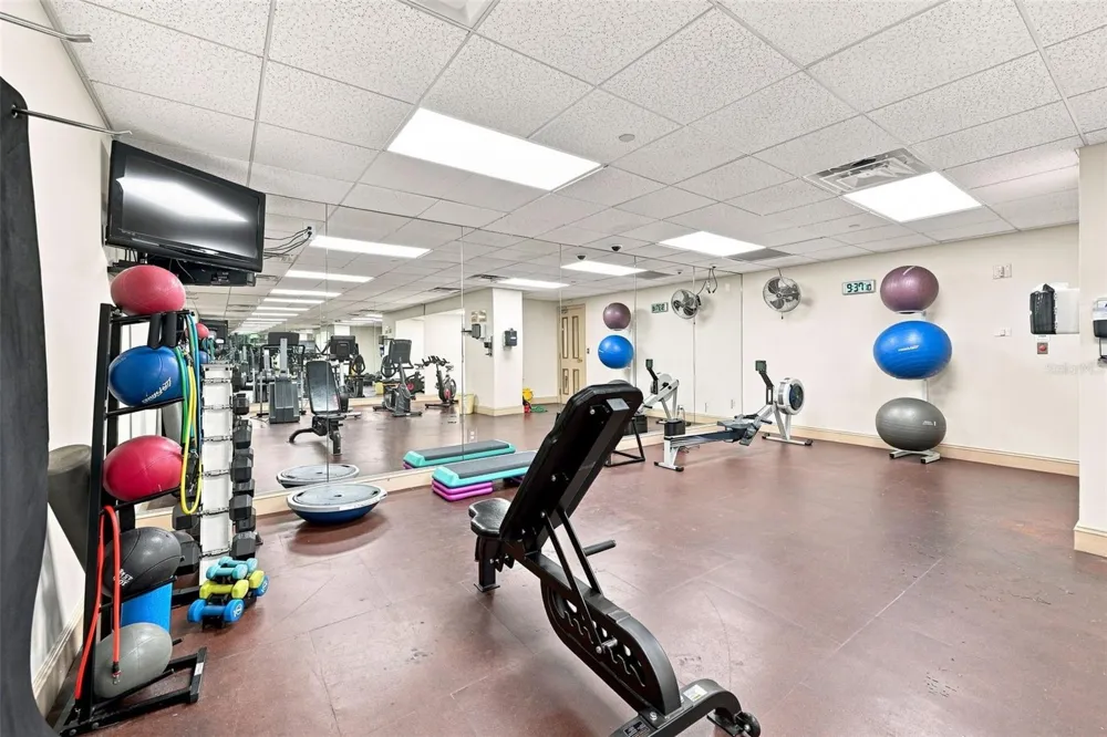 345 BAYSHORE BOULEVARD #1006 Tampa, FL 33606