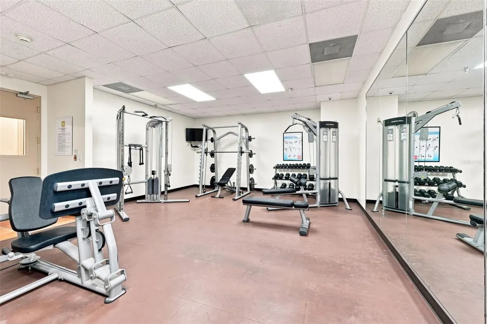 345 BAYSHORE BOULEVARD #1006 Tampa, FL 33606