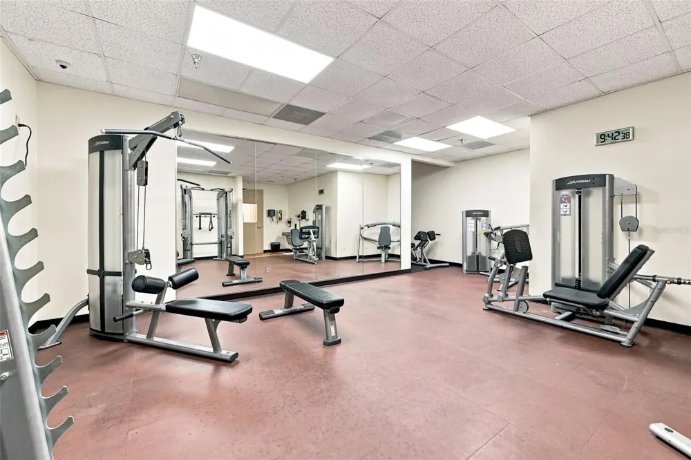 345 BAYSHORE BOULEVARD #1006 Tampa, FL 33606
