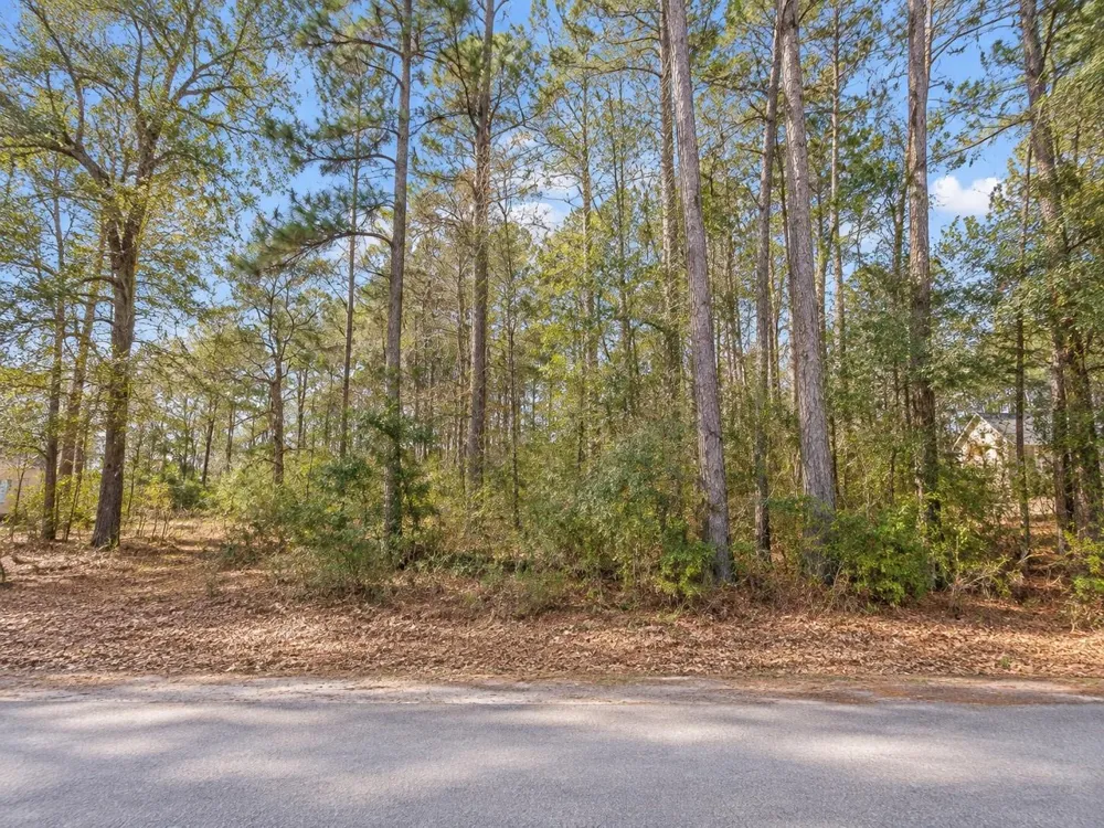 17664 Plantation Drive Waller, TX 77484