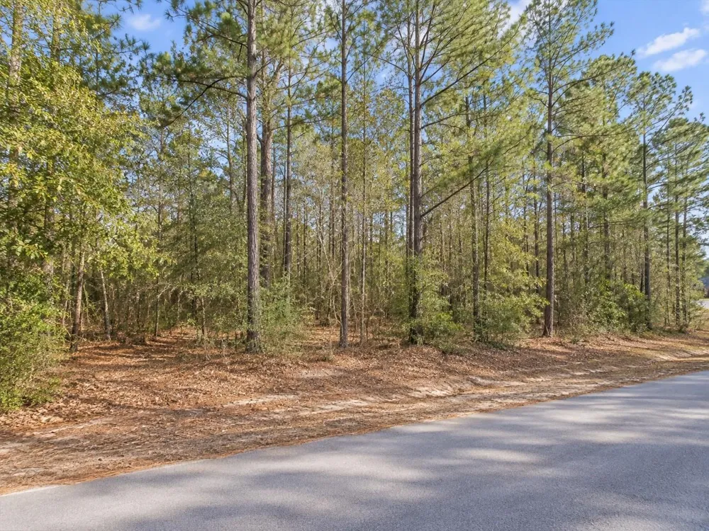 17664 Plantation Drive Waller, TX 77484