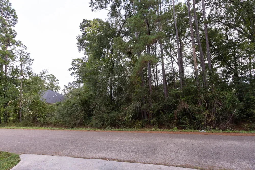 31 Holly Springs Drive Conroe, TX 77302