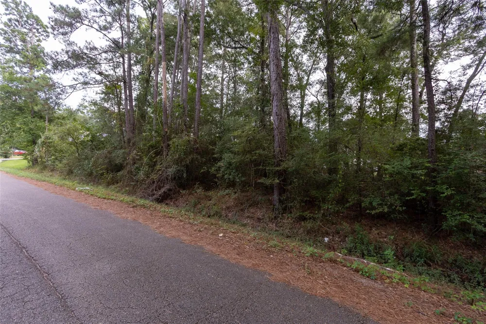 31 Holly Springs Drive Conroe, TX 77302