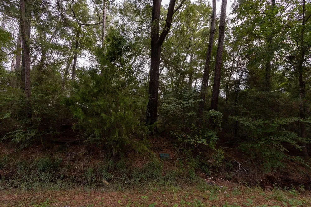 31 Holly Springs Drive Conroe, TX 77302