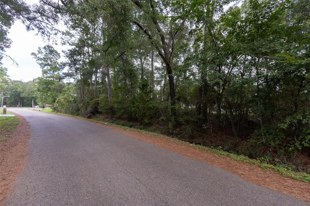 31 Holly Springs Drive Conroe, TX 77302