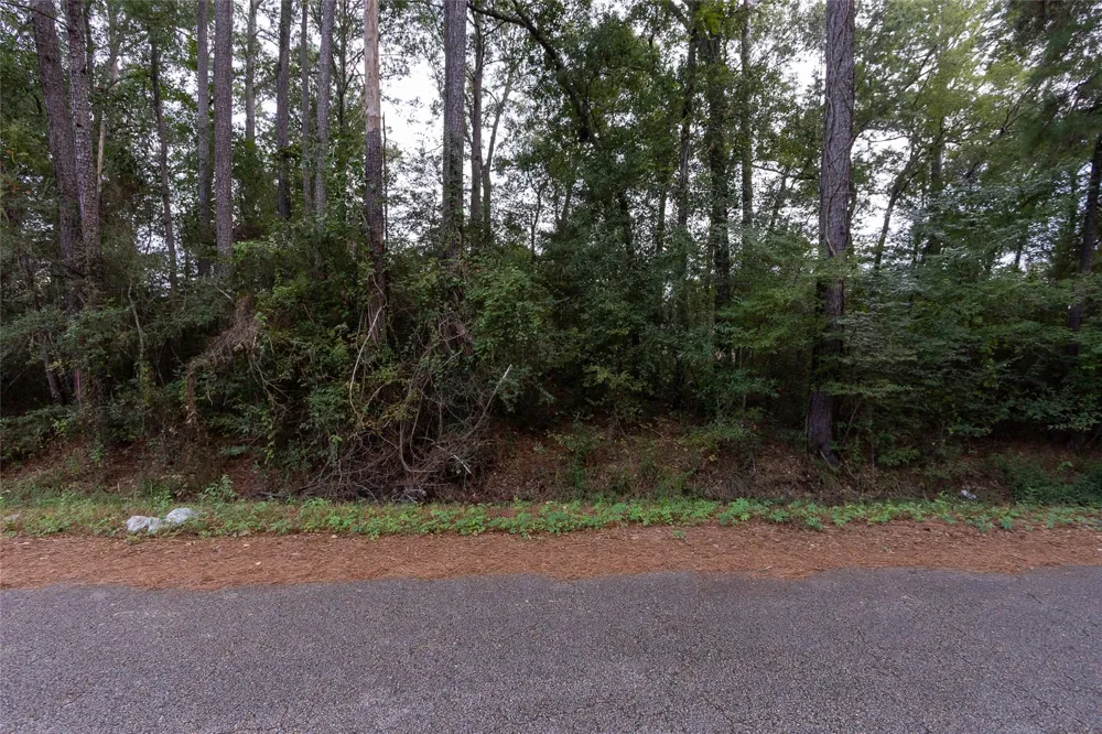 31 Holly Springs Drive Conroe, TX 77302