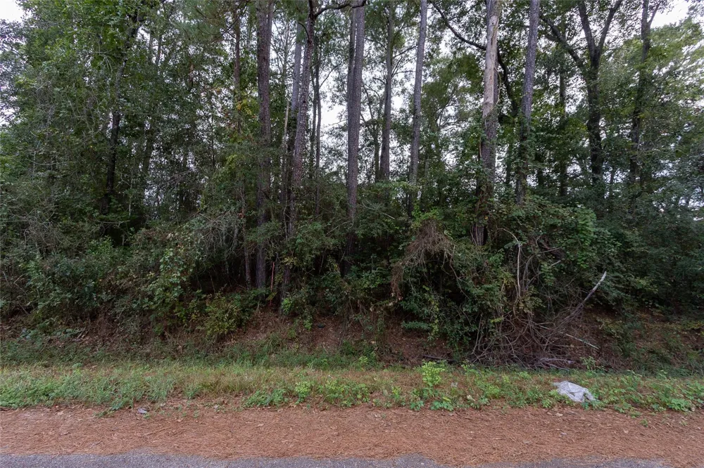 31 Holly Springs Drive Conroe, TX 77302