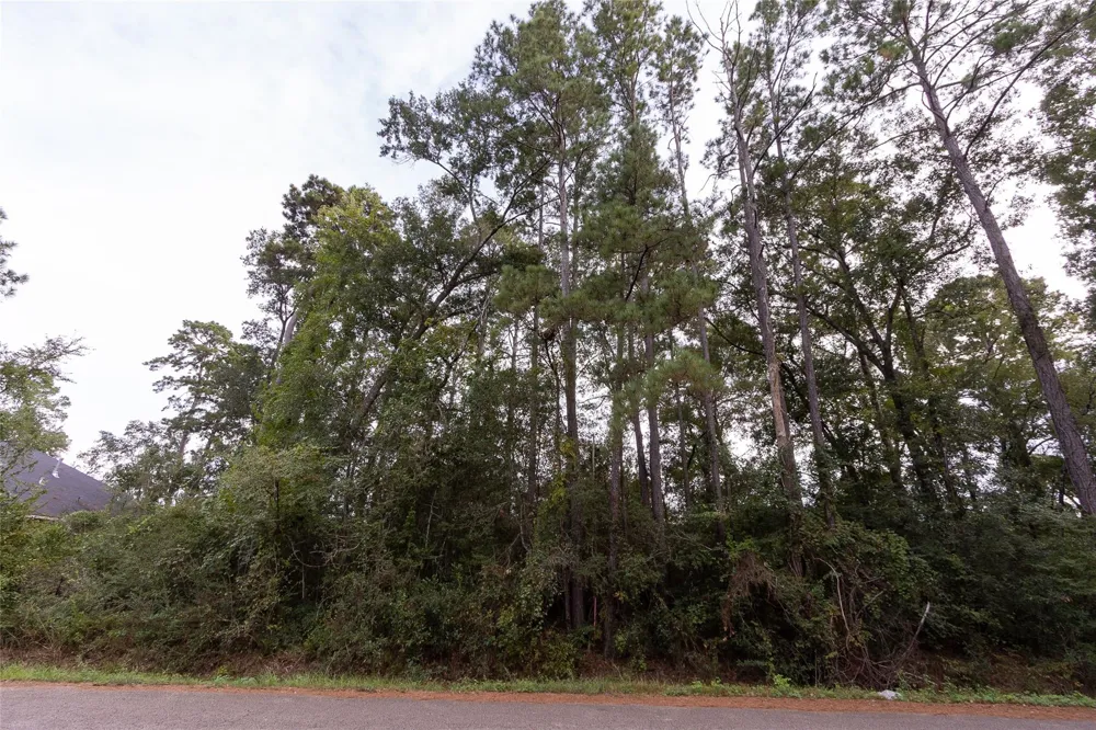 31 Holly Springs Drive Conroe, TX 77302