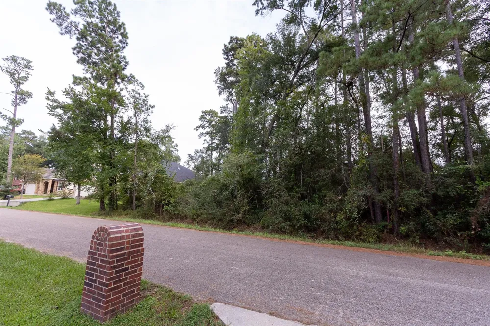 31 Holly Springs Drive Conroe, TX 77302