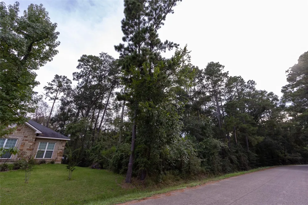 31 Holly Springs Drive Conroe, TX 77302