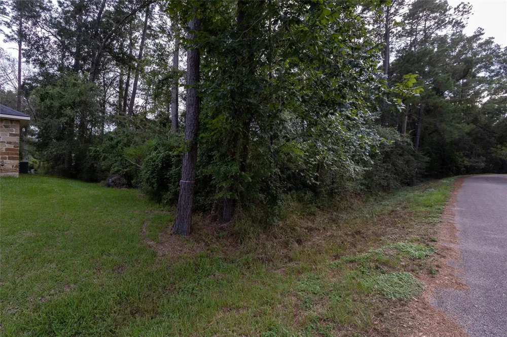 31 Holly Springs Drive Conroe, TX 77302