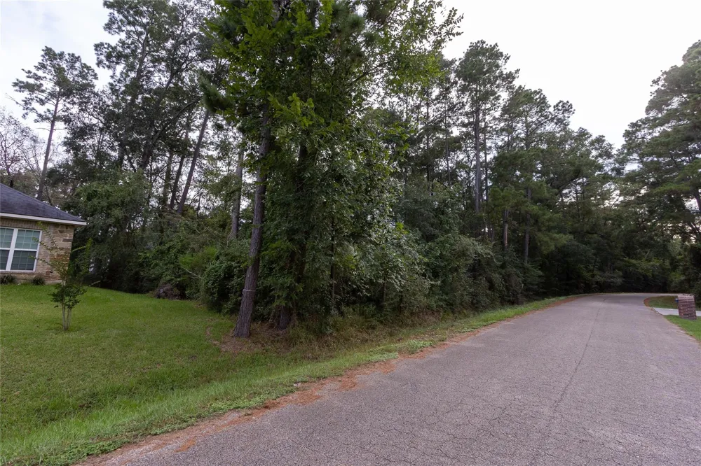 31 Holly Springs Drive Conroe, TX 77302