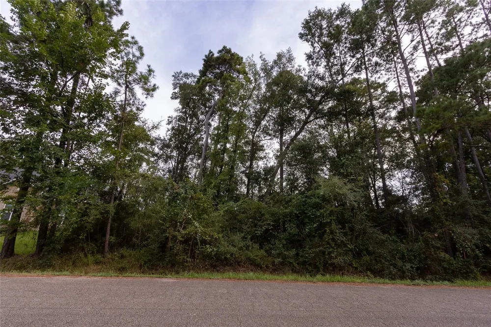 31 Holly Springs Drive Conroe, TX 77302