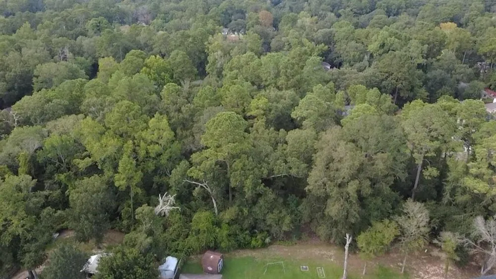 31 Holly Springs Drive Conroe, TX 77302