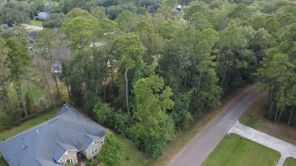 31 Holly Springs Drive Conroe, TX 77302